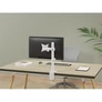 Kép 8/9 - Equip Monitor Asztali konzol - 650166 (17"-32", 1 monitor, dönthető, forgatható, állítható magasság, Max.: 9kg, fehér)