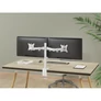 Kép 8/9 - Equip Monitor Asztali konzol - 650167 (13"-27", 2 monitor, dönthető, forgatható, állítható magasság, Max.:2x9kg, fehér)