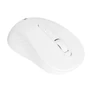 Kép 4/9 - Everest Vezeték nélküli Egér - SM-300 White (1600 DPI, 4gomb, optikai, fehér)