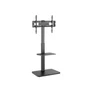 Kép 1/10 - Equip TV állvány - 650613 (37"-75" álló, forgatható, állítható magasság, Max.:40kg, fekete)