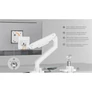 Kép 4/9 - Equip Monitor Asztali konzol - 650181 (17"-49", 1 monitor, dönthető, forgatható, Max.: 20kg, fehér)