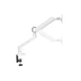 Kép 2/9 - Equip Monitor Asztali konzol - 650185 (17"-35", 1 monitor, dönthető, forgatható, Max.: 10,5kg, fehér)