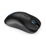 Kép 3/5 - Endorfy Wireless Egér - Gem Plus (26 000 DPI, ARGB, PixArt chip, optikai, fekete)