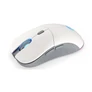 Kép 2/5 - Endorfy Wireless Egér - Gem Plus Onyx (REV 1.0, 26 000 DPI, ARGB, PixArt chip, optikai, fehér)